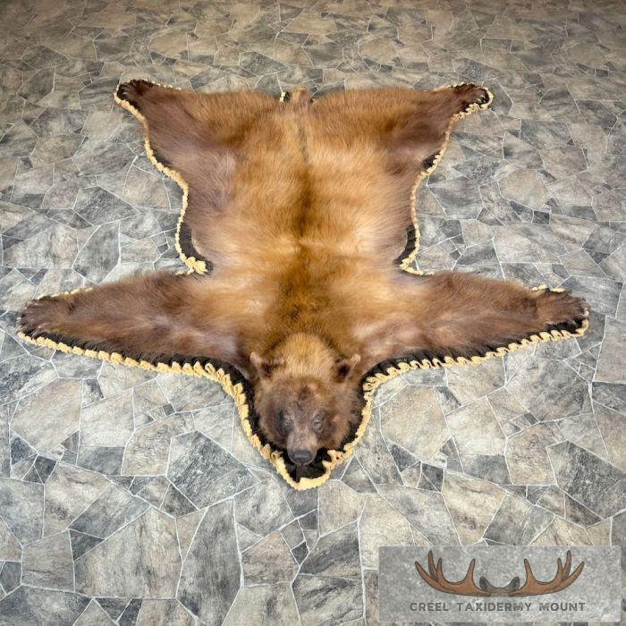 Cinnamon Black Bear Full-Size Taxidermy Rug For Sale