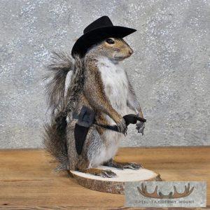 Cowboy Squirrel Novelty Taxidermy Mount Taxidermy