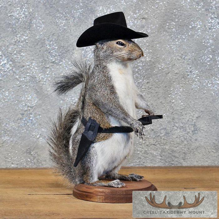 Gray Squirrel in Canoe Taxidermy Mount for Sale * SKU 2020 Gray Squirrel in Canoe Taxidermy Mount for Sale * SKU 2020