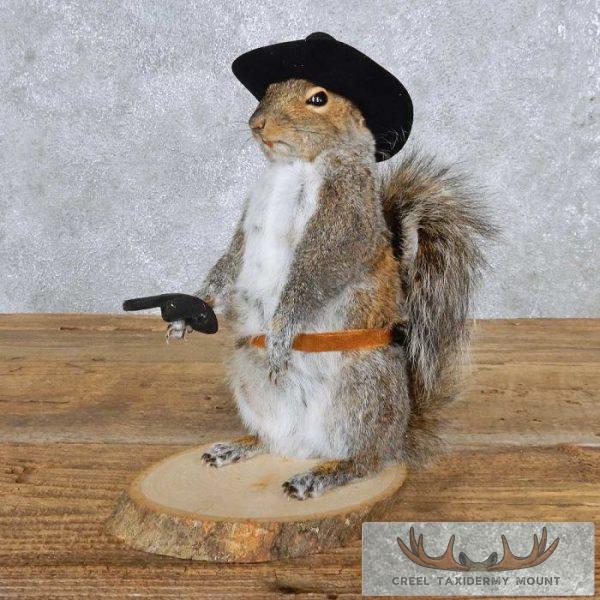 Cowboy Grey Squirrel Taxidermy Mount For Sale
