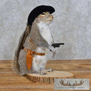 Cowboy Squirrel Novelty Taxidermy Mount Taxidermy