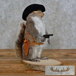 Cowboy Squirrel Novelty Taxidermy Mount Taxidermy