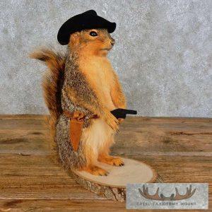 Cowboy Squirrel Novelty Taxidermy Mount Taxidermy