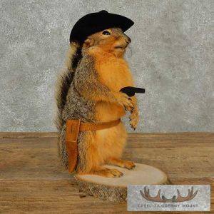 Cowboy Fox Squirrel Novelty Taxidermy Mount Taxidermy