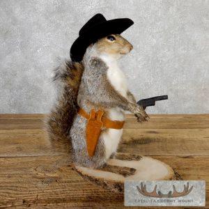 Cowboy Squirrel Novelty Taxidermy Mount Taxidermy