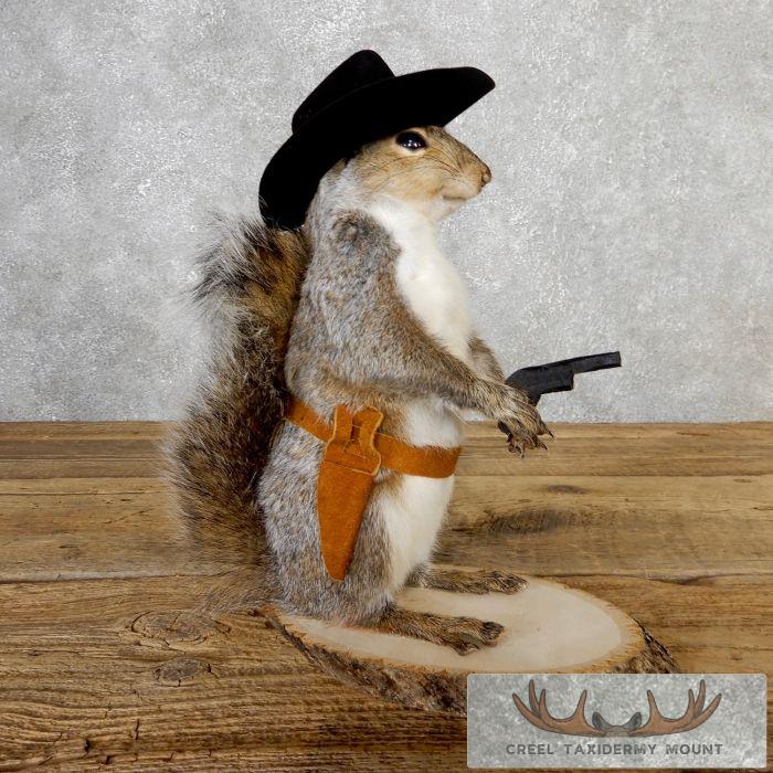 Cowboy Squirrel Novelty Taxidermy Mount For Sale