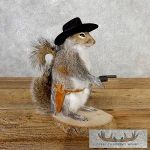 Cowboy Squirrel Novelty Taxidermy Mount Taxidermy