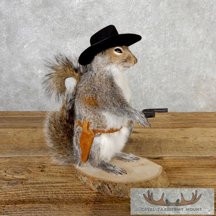 Cowboy Squirrel Novelty Taxidermy Mount For Sale