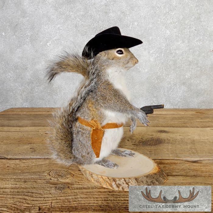 Cowboy Squirrel Novelty Taxidermy Mount For Sale