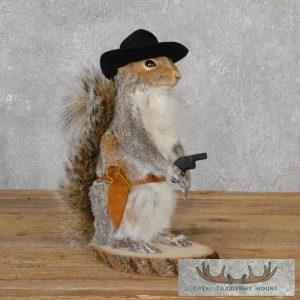 Cowboy Squirrel Novelty Taxidermy Mount Taxidermy