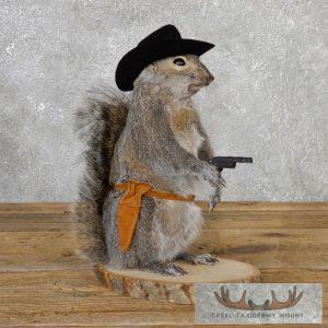 Cowboy Squirrel Novelty Taxidermy Mount Taxidermy