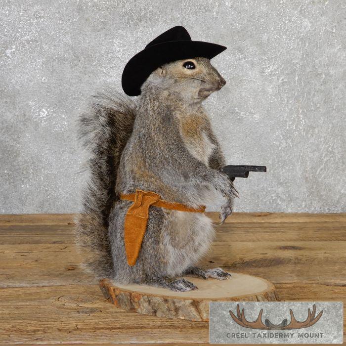 Cowboy Squirrel Novelty Taxidermy Mount For Sale