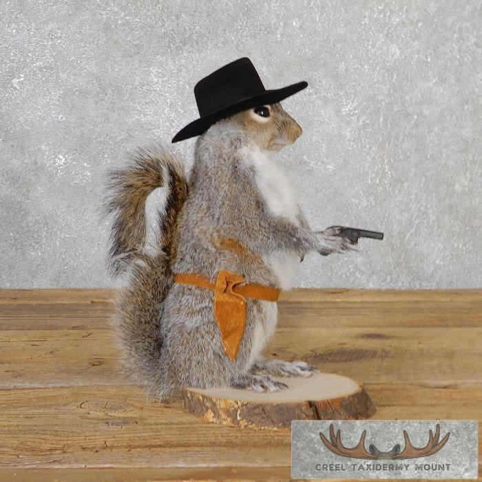 Cowboy Squirrel Novelty Taxidermy Mount For Sale