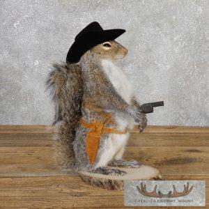 Cowboy Squirrel Novelty Taxidermy Mount Taxidermy