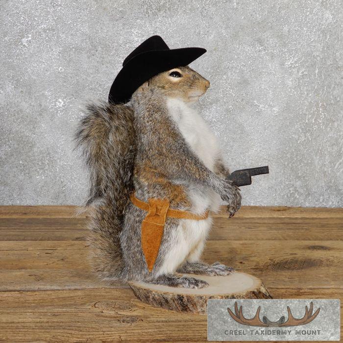Cowboy Squirrel Novelty Taxidermy Mount For Sale