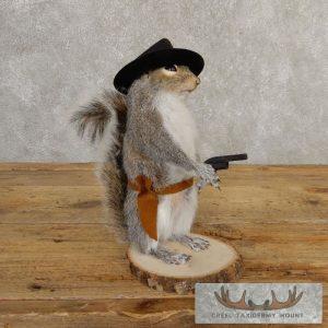 Cowboy Squirrel Novelty Taxidermy Mount Taxidermy