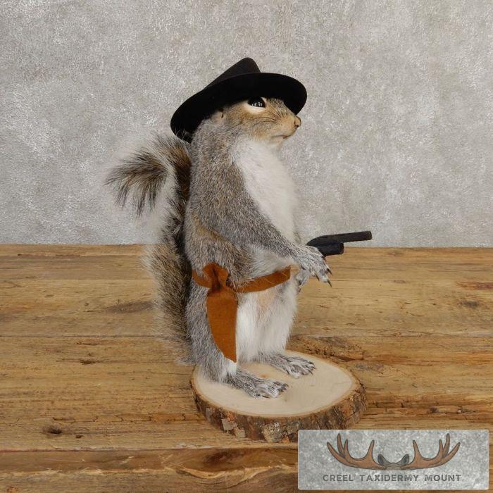 Cowboy Squirrel Novelty Taxidermy Mount For Sale