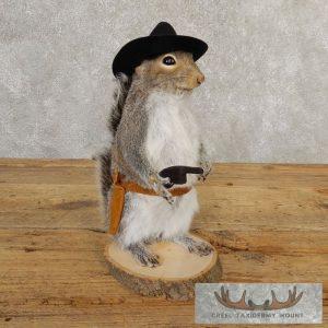 Cowboy Squirrel Novelty Taxidermy Mount Taxidermy