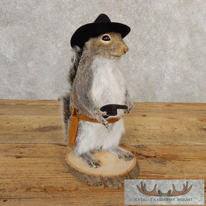 Cowboy Squirrel Novelty Taxidermy Mount For Sale