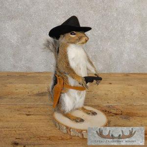 Cowboy Squirrel Novelty Taxidermy Mount Taxidermy