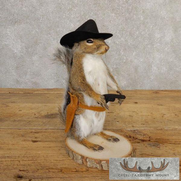 Cowboy Squirrel Novelty Taxidermy Mount For Sale