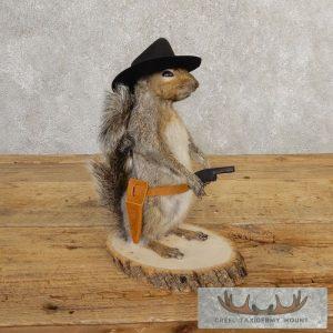 Cowboy Squirrel Novelty Taxidermy Mount Taxidermy