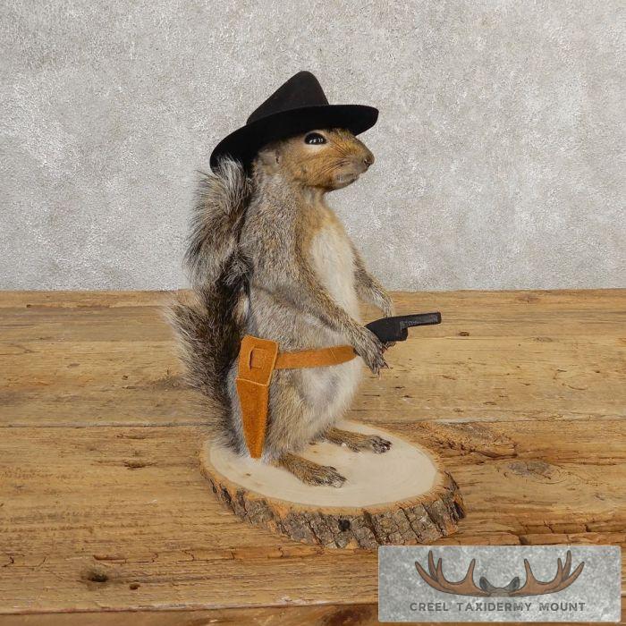 Cowboy Squirrel Novelty Taxidermy Mount For Sale