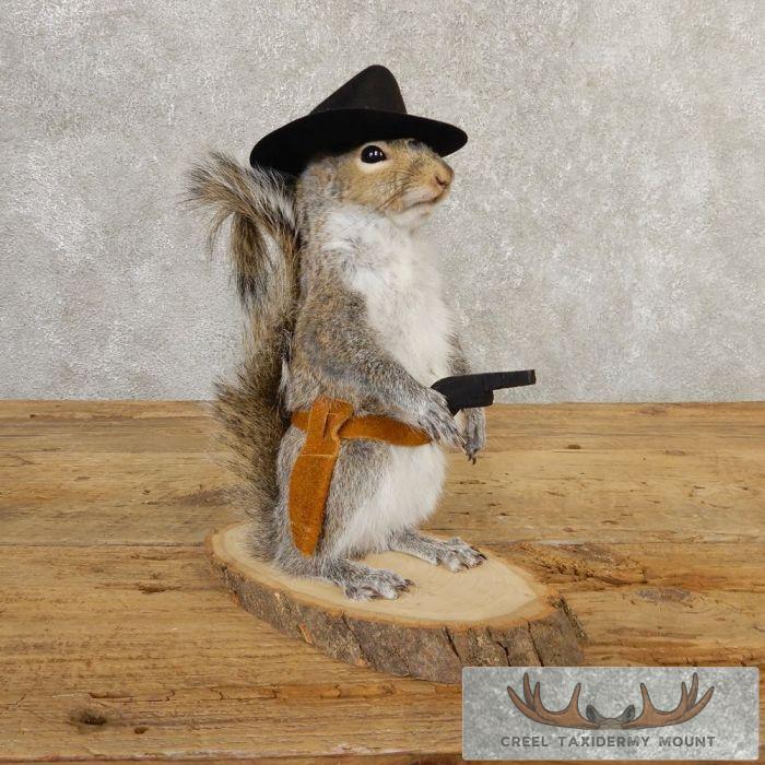 Cowboy Squirrel Novelty Taxidermy Mount For Sale