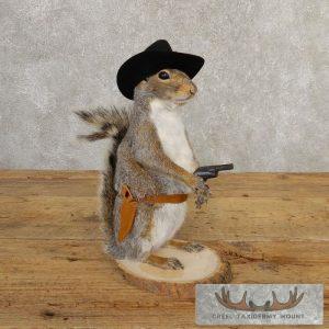 Cowboy Squirrel Novelty Taxidermy Mount Taxidermy