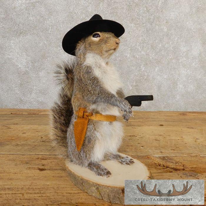 Cowboy Squirrel Novelty Taxidermy Mount For Sale