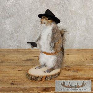 Cowboy Squirrel Novelty Taxidermy Mount Taxidermy