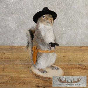 Cowboy Squirrel Novelty Taxidermy Mount Taxidermy