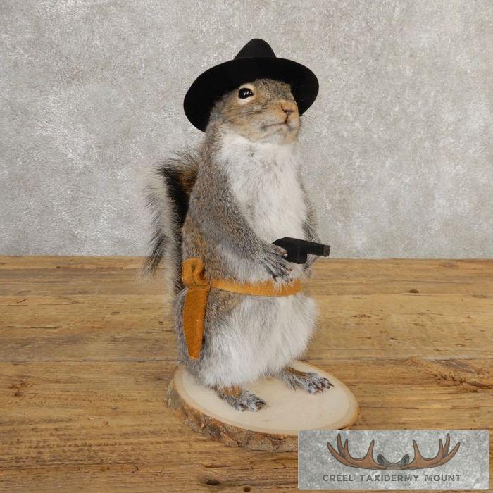 Cowboy Squirrel Novelty Taxidermy Mount For Sale