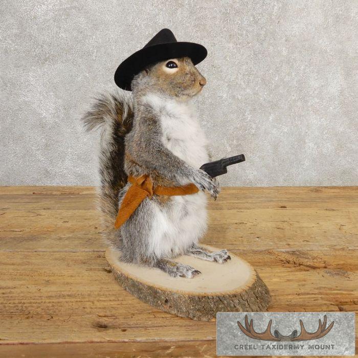 Cowboy Squirrel Novelty Taxidermy Mount For Sale