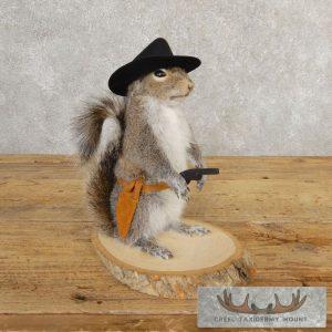 Cowboy Squirrel Novelty Taxidermy Mount Taxidermy