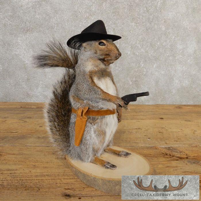 Cowboy Squirrel Novelty Taxidermy Mount For Sale