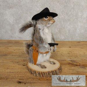 Cowboy Squirrel Novelty Taxidermy Mount Taxidermy