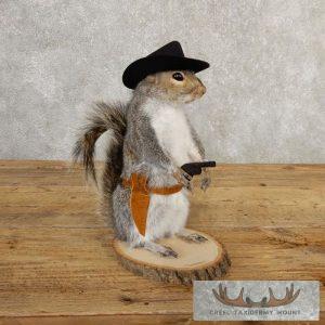 Cowboy Squirrel Novelty Taxidermy Mount Taxidermy