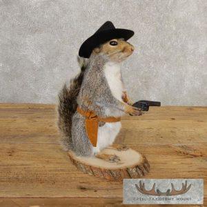Cowboy Squirrel Novelty Taxidermy Mount Taxidermy