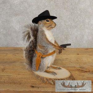 Cowboy Squirrel Novelty Taxidermy Mount Taxidermy
