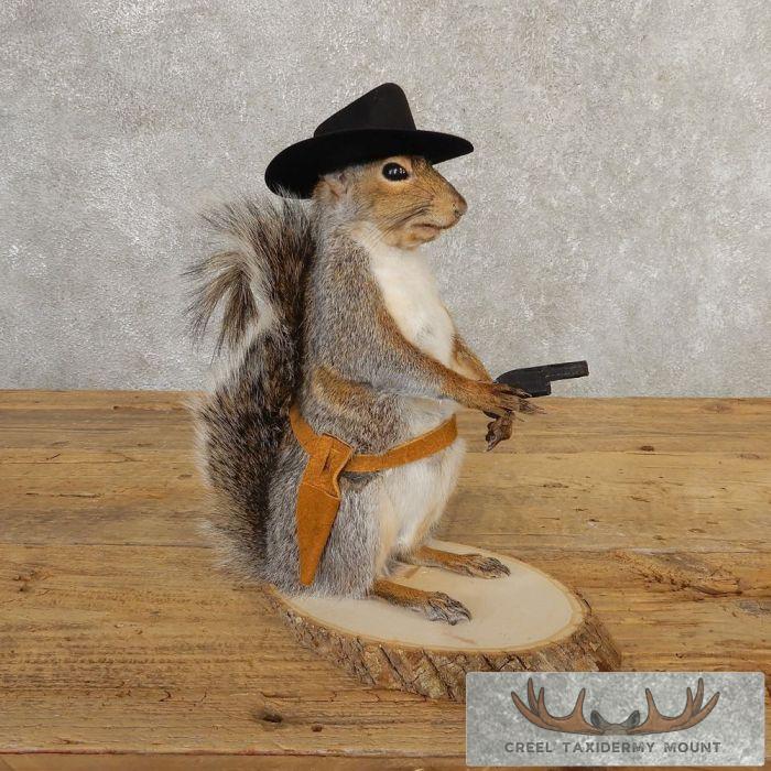 Cowboy Squirrel Novelty Taxidermy Mount For Sale
