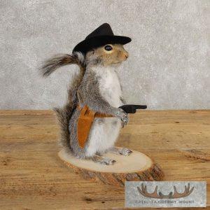 Cowboy Squirrel Novelty Taxidermy Mount Taxidermy