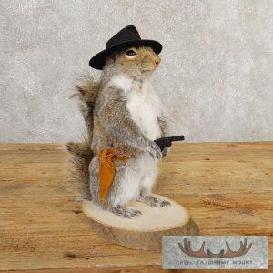 Cowboy Squirrel Novelty Taxidermy Mount Taxidermy