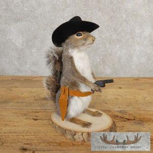 Cowboy Squirrel Novelty Taxidermy Mount Taxidermy