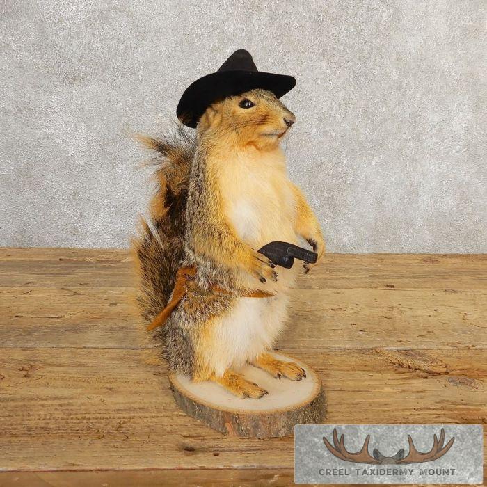 Cowboy Squirrel Novelty Taxidermy Mount For Sale