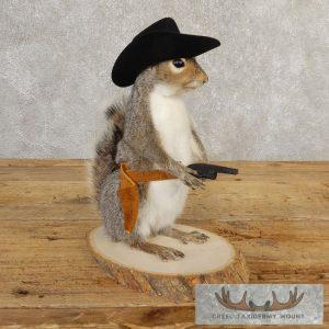 Cowboy Squirrel Novelty Taxidermy Mount Taxidermy