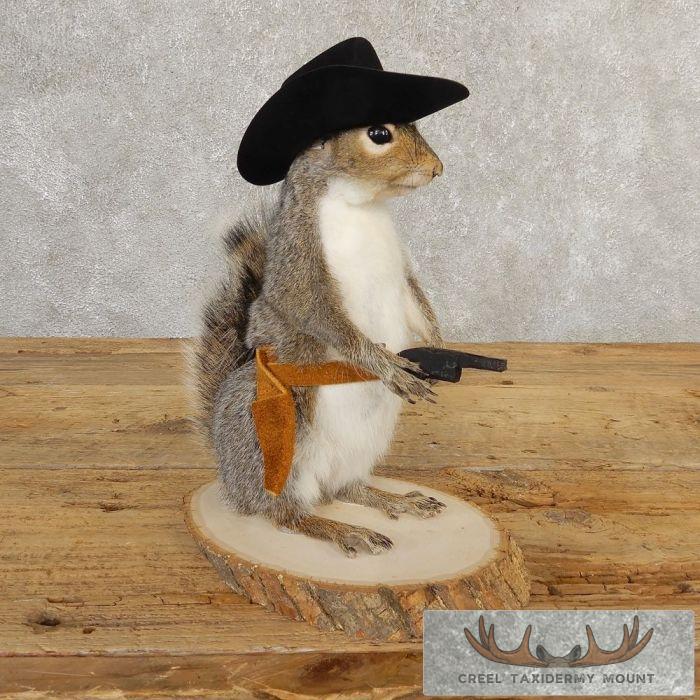 Cowboy Squirrel Novelty Taxidermy Mount For Sale