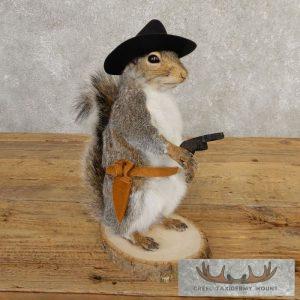 Cowboy Squirrel Novelty Taxidermy Mount Taxidermy