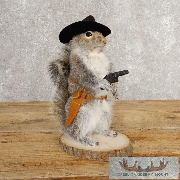 Cowboy Squirrel Novelty Taxidermy Mount For Sale