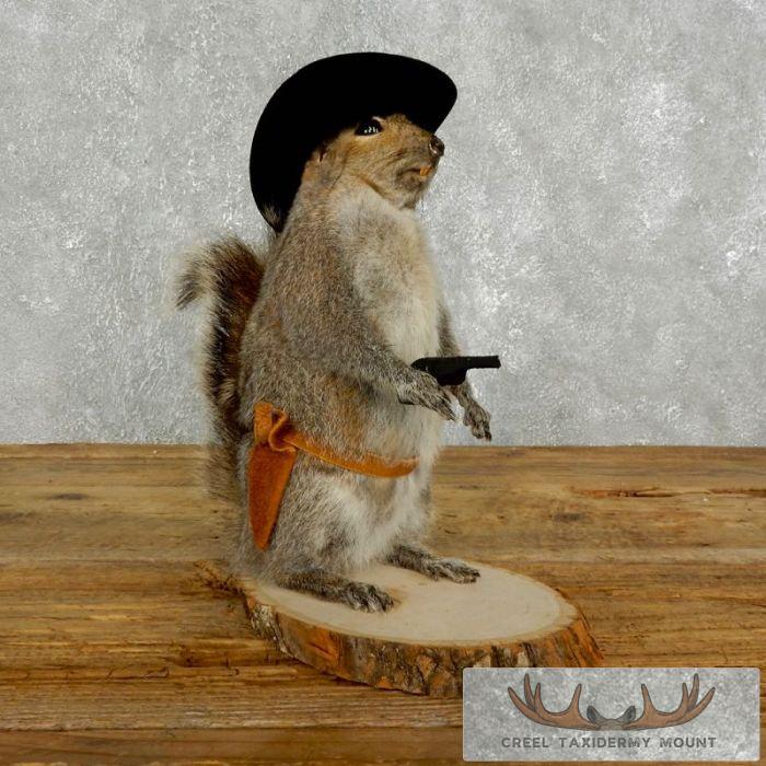 Cowboy Squirrel Novelty Taxidermy Mount For Sale